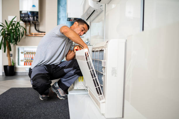 Best Air Duct Mold Removal  in Colusa, CA